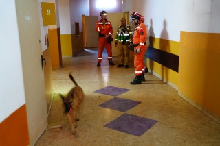 Ćwiczenia Specjalistycznych Grup Poszukiwawczo-Ratowniczych w Białogardzie | 18.04.2026