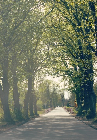 Inwestycje Powiatu Białogardzkiego: remont odcinka drogi Pomianowo - Zaspy Małe | maj 2026